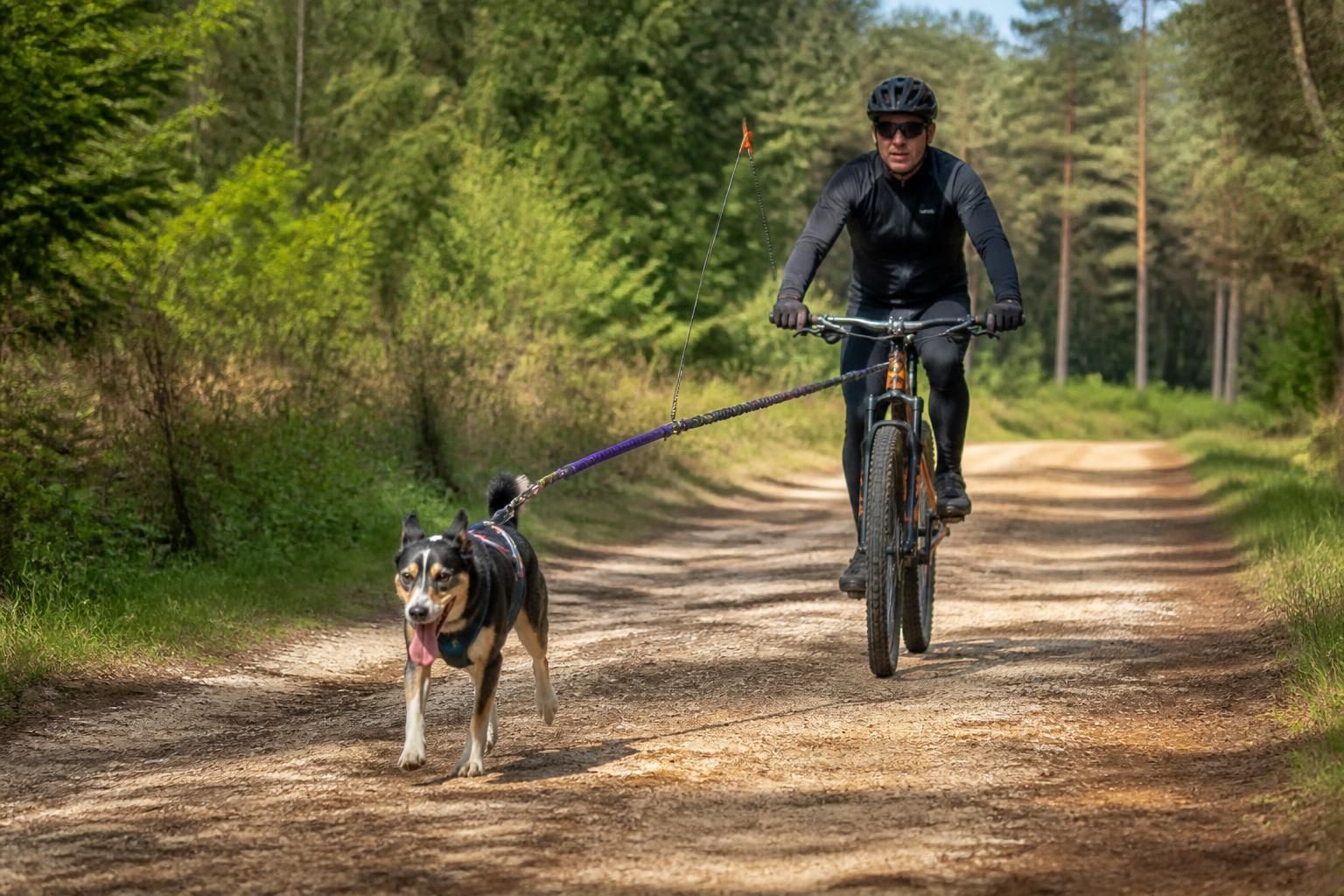 découvrez nos conseils pour débuter le cani-vtt en toute sécurité, sans mettre en difficulté ni votre chien ni votre vélo. profitez d'une activité sportive conviviale et respectueuse.