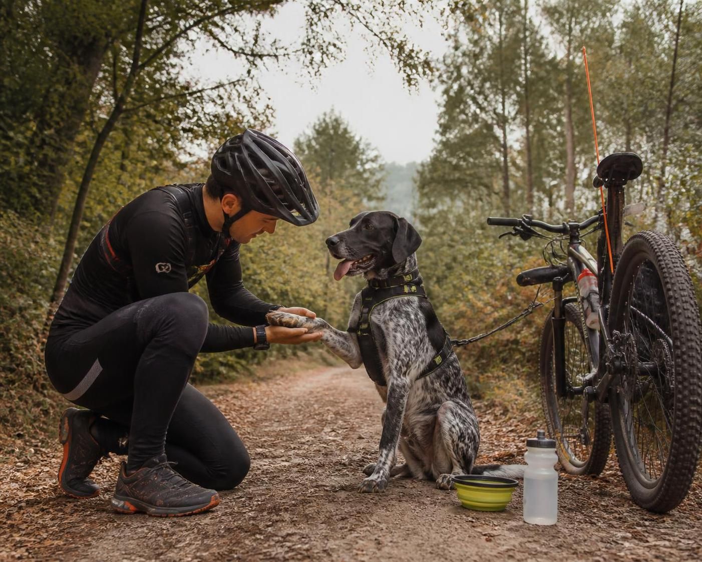 apprenez à commencer le cani-vtt en toute sécurité pour vous, votre chien et votre vélo, avec des conseils pratiques pour une expérience optimale et sans risque.